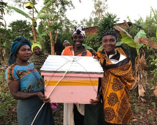 https://sigawomen.org/wp-content/uploads/2023/04/BKWG-Bee-farmers-1-min-500x400-1-500x400.jpg